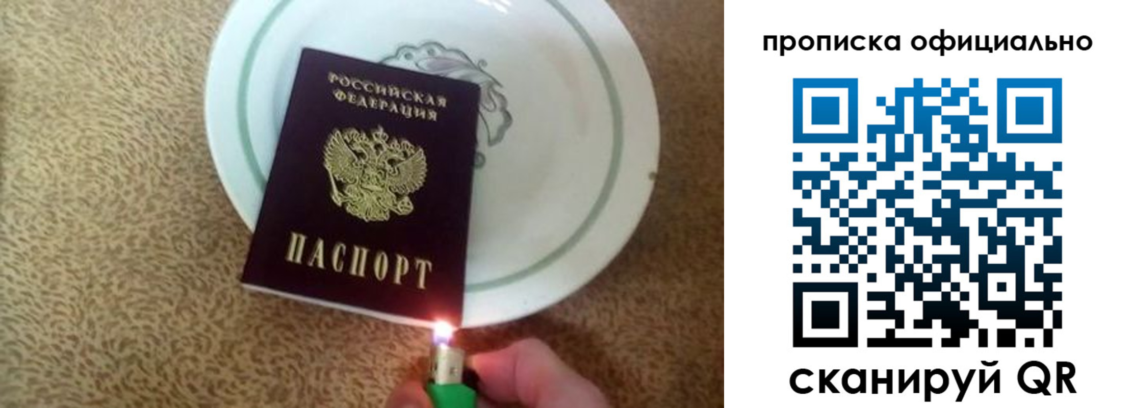 прописка гарантия в Петропавловске-Камчатском